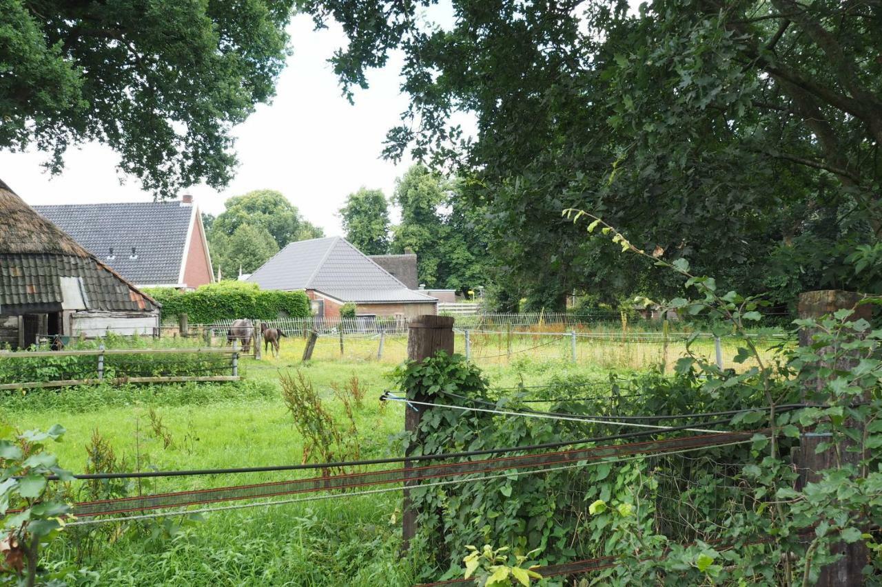 Het Centrum Norg Exteriér fotografie